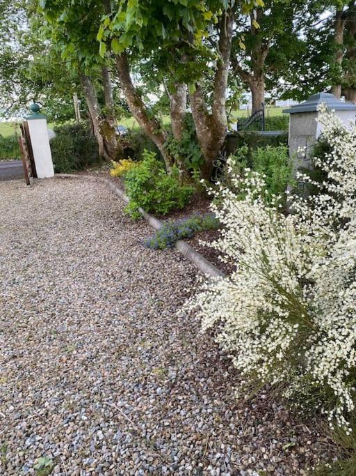 Breathnach Cottage Annex Knockleagha Ballina F26 D7E2 Exterior foto